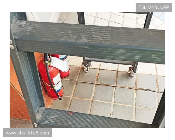 探索凯发k8国际娱乐平台的多样化游戏项目与独特魅力